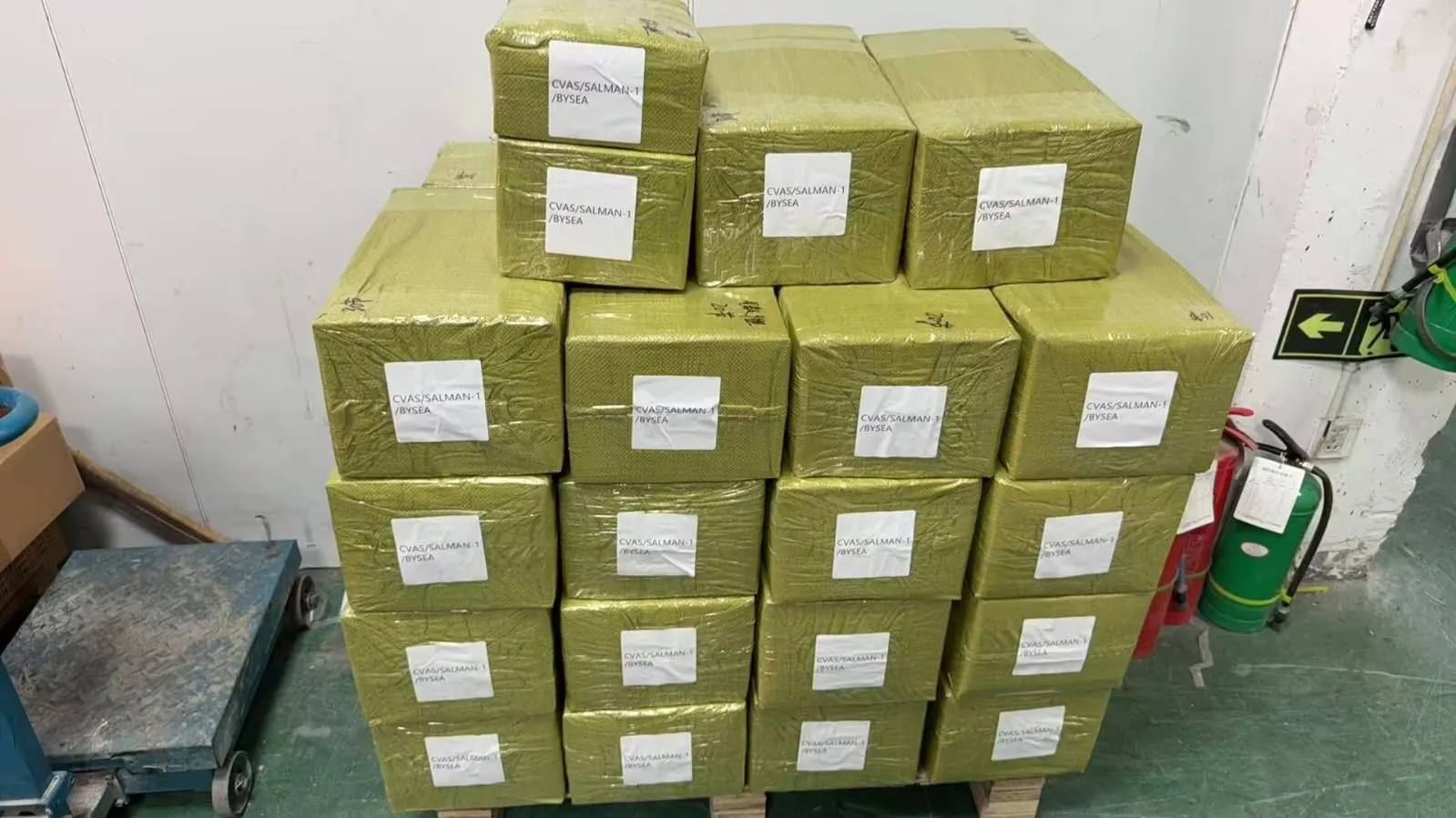 Dokumentasi PT. CVAS JASTIP IMPORT 10